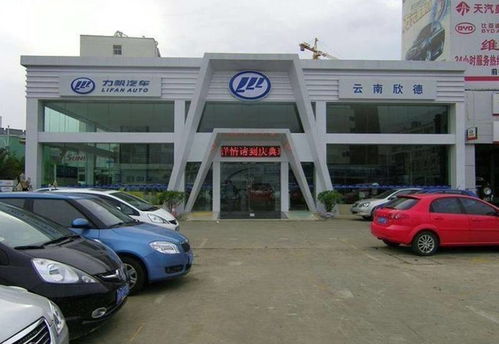 車主請擦亮眼睛 近年五大汽車銷售公司跑路案件，新車秒變“黑車”